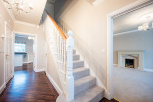 Photo 3- click for photo gallery